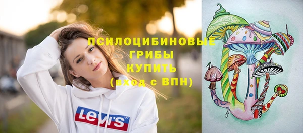 ALPHA-PVP Медвежьегорск