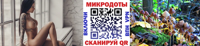 наркошоп  Радужный  Галлюциногенные грибы Magic Shrooms 