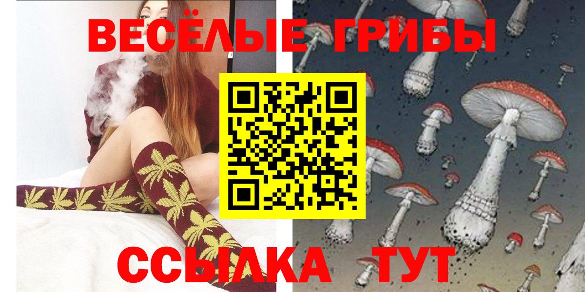 Псилоцибиновые грибы GOLDEN TEACHER Радужный