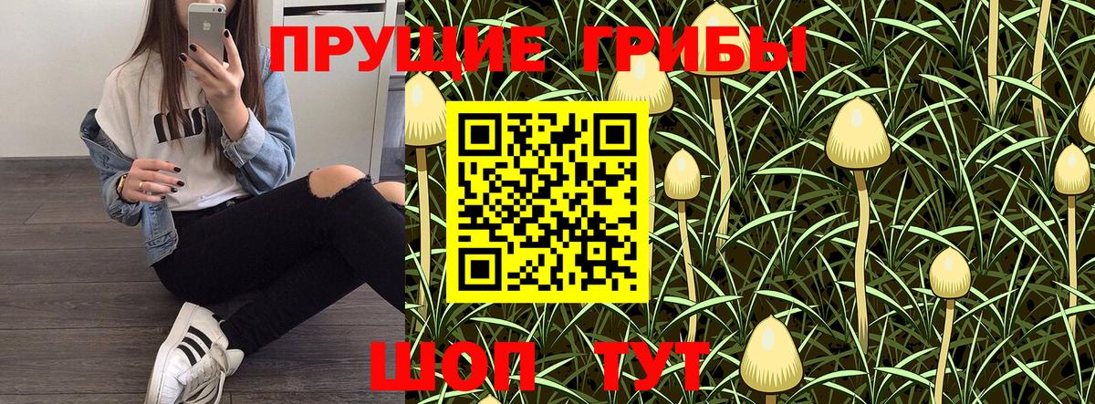 Псилоцибиновые грибы GOLDEN TEACHER  Вход с VPN  Галлюциногенные грибы ЛСД  Радужный 